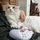 장수감자탕탕 이미지