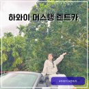HI-DS 카서비스 | 하와이 와이키키 렌트카 여행 달러 렌트카 머스탱 후기 비용 반납방법