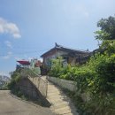 하울참옻닭