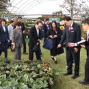 야간)꽃과 원예 이미지