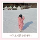 11545-10-28-19 | [파주] 28개월 아기랑 평일 초리골 눈썰매장 아쉬운 점이 더 많았던 솔직 후기 (할인정보 / 준비물...