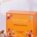 다문화건강랜드