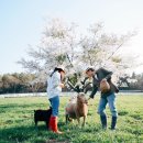 상상목장 이미지