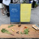 야곱의꿈농장 | 계절을 담은 장터, 마르쉐 채소시장 @성수 후기