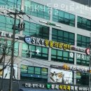 부일동물병원 | 인천 부평동 동물병원 부평24시SKY동물의료센터 진료시간 접근성 이용후기