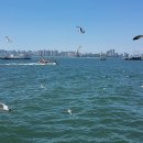 월미도 선착장 이미지