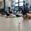 용인대 미르 태권도 이미지