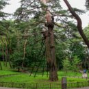 장능농장 이미지