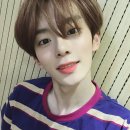 강민 카카오 검색결과