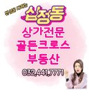 골든크로스부동산공인중개사사무소 이미지