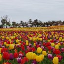 신안미용실 이미지