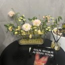 판교 최용훈치과의원 | [내돈내산 후기] 믿을 데 없는 치과진료.. 딱 여기는 다르더군요. 판교최용훈 치과 추천합니다