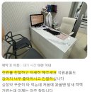 맑은 동물병원 | 안산고양이동물병원 아프리카에서 알려드리는 고양이 맑은 콧물