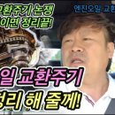 샘재로 3 이미지