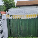 숲속댕토리애견유치원 이미지