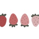 조이아 카페 네이버블로그
