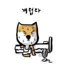 젤라헤어 | 거제 왁싱) 내돈내산 하러가는 곳, 고현 '젤라뷰티' (남자 다리제모)