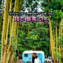 동부목장 | 제주도 동부 여행 코스 안돌오름 송당 무끈모루 제동목장 입구 삼거리