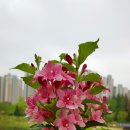 세병공원(아파트쪽) 이미지