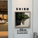 도쿄여행_도쿄쇼핑추천 SHIRO 핸드크림 바디로션 / 시로 택스리펀