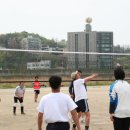 조도중학교 이미지