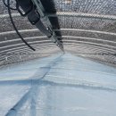 수막 목장 이미지