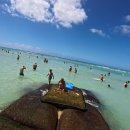 하와이약국 이미지