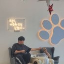 아로하스토리 이미지