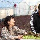 신전원일기 이미지