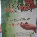 돈뭉치 Daum카페