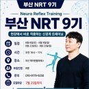 NRT 근신경계 트레이닝 9기 부산 이미지