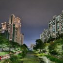 간선-48 이미지