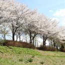 도림천 산책로4 이미지