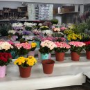 새경산꽃직판장 | W. 웨딩촬영 셀프부케🌼