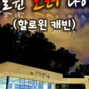 숲속반디 이미지