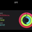 오늘도넛