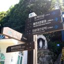 지심도유람선예약센터