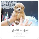 말랑말랑 이미지