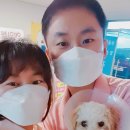 별사랑동물병원 | 별사랑 동물병원 중성화 후