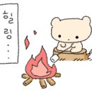 싱싱 이미지