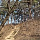 모산봉등산로 이미지