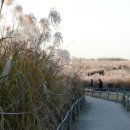 안경매니져산성점 | 11_24 금 남의 눈 22 "… 뭘 청산하겠다고?"