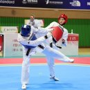 금빛태권도 이미지