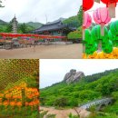 수도장 | 강원도 유명 사찰 고성 금강산 화암사 수바위 절 추천