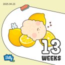 엉터리생고기 약수점 | [임신 13,14,15주차] 증상 / 입덧 끝나는 시기 / 배 크기 / 초음파 앨범 (다이소)