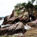 전촌1리 이미지