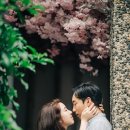 리틀포레스트스냅
