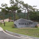 만남농장 이미지