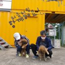 상공로 6번길