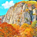 “내장산·설악산보다 좋은데요?”… 단풍 지기 전, 지금 가야 하는 가을 트레킹 명소 이미지